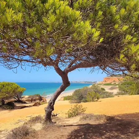 Villa Viriato Vila Albufeira