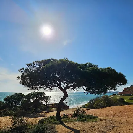 Vila Villa Viriato *